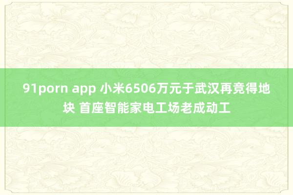 91porn app 小米6506万元于武汉再竞得地块 首座智能家电工场老成动工