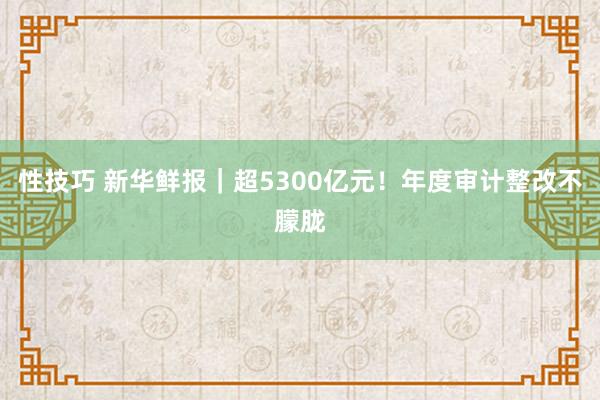 性技巧 新华鲜报｜超5300亿元！年度审计整改不朦胧