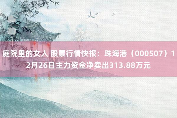 庭院里的女人 股票行情快报：珠海港（000507）12月26日主力资金净卖出313.88万元