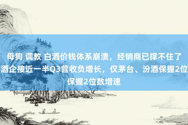 母狗 调教 白酒价钱体系崩溃，经销商已撑不住了！上市酒企接近一半Q3营收负增长，仅茅台、汾酒保握2位数增速