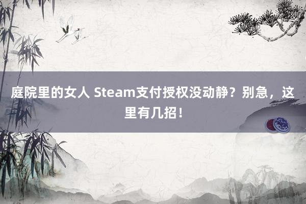 庭院里的女人 Steam支付授权没动静？别急，这里有几招！