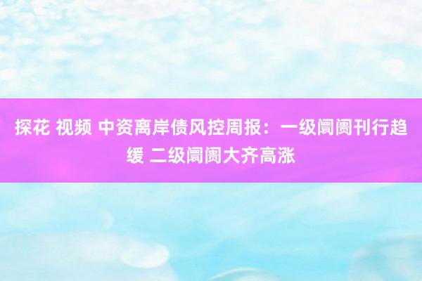 探花 视频 中资离岸债风控周报：一级阛阓刊行趋缓 二级阛阓大齐高涨