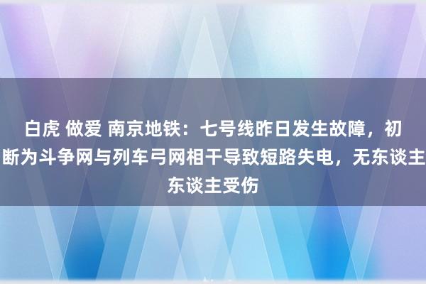 白虎 做爱 南京地铁：七号线昨日发生故障，初步判断为斗争网与列车弓网相干导致短路失电，无东谈主受伤