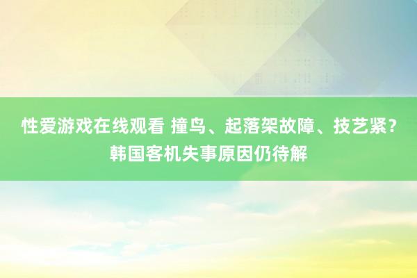 性爱游戏在线观看 撞鸟、起落架故障、技艺紧？韩国客机失事原因仍待解