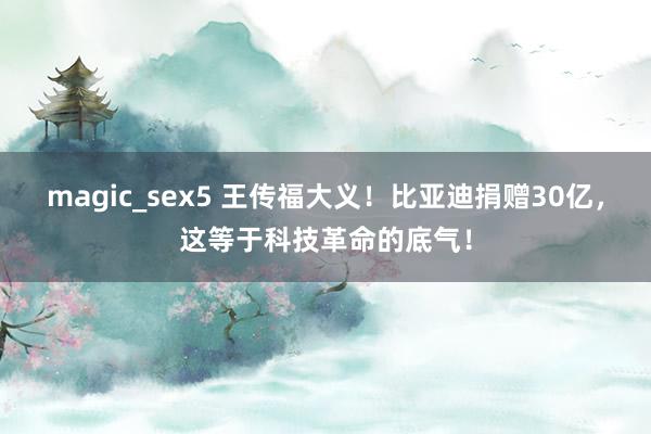 magic_sex5 王传福大义！比亚迪捐赠30亿，这等于科技革命的底气！