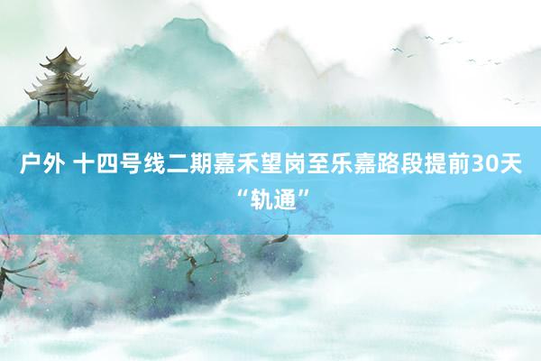 户外 十四号线二期嘉禾望岗至乐嘉路段提前30天“轨通”