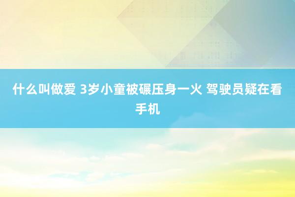 什么叫做爱 3岁小童被碾压身一火 驾驶员疑在看手机