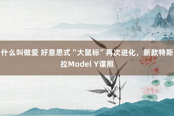 什么叫做爱 好意思式“大鼠标”再次进化，新款特斯拉Model Y谍照