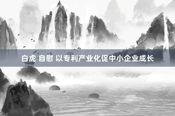 白虎 自慰 以专利产业化促中小企业成长