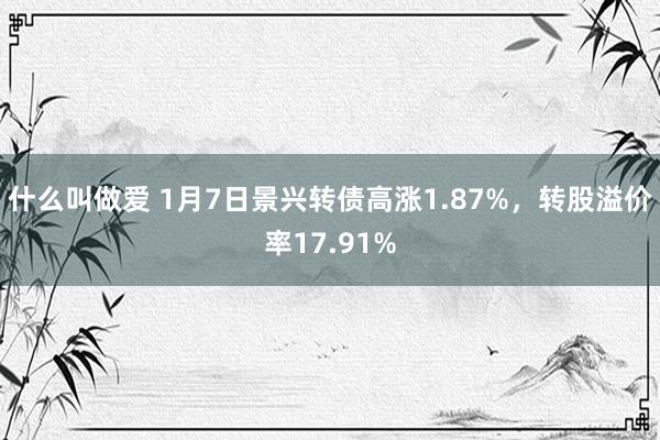 什么叫做爱 1月7日景兴转债高涨1.87%，转股溢价率17.91%