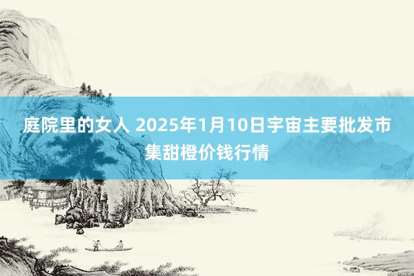 庭院里的女人 2025年1月10日宇宙主要批发市集甜橙价钱行情