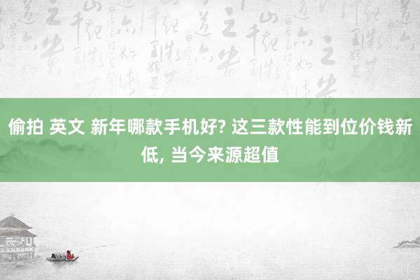 偷拍 英文 新年哪款手机好? 这三款性能到位价钱新低， 当今来源超值