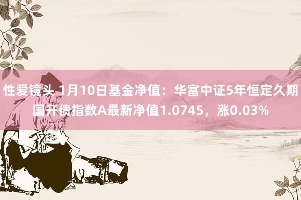 性爱镜头 1月10日基金净值：华富中证5年恒定久期国开债指数A最新净值1.0745，涨0.03%