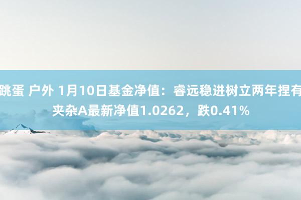 跳蛋 户外 1月10日基金净值：睿远稳进树立两年捏有夹杂A最新净值1.0262，跌0.41%