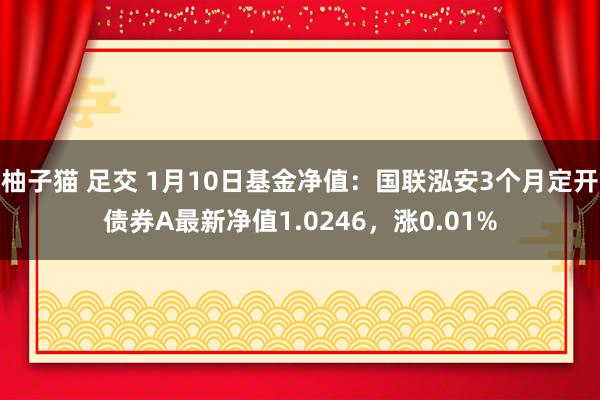 柚子猫 足交 1月10日基金净值：国联泓安3个月定开债券A最新净值1.0246，涨0.01%