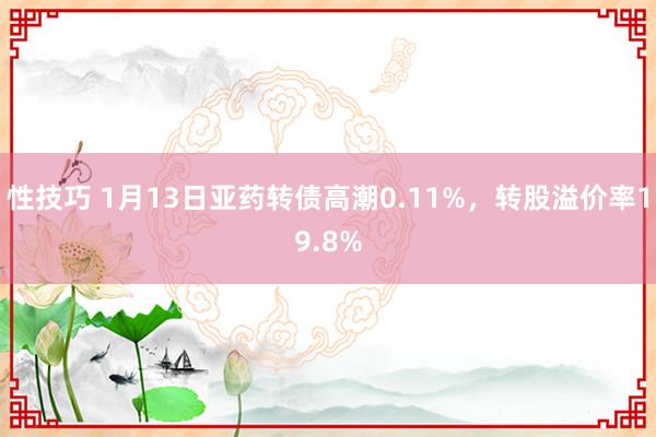 性技巧 1月13日亚药转债高潮0.11%，转股溢价率19.8%