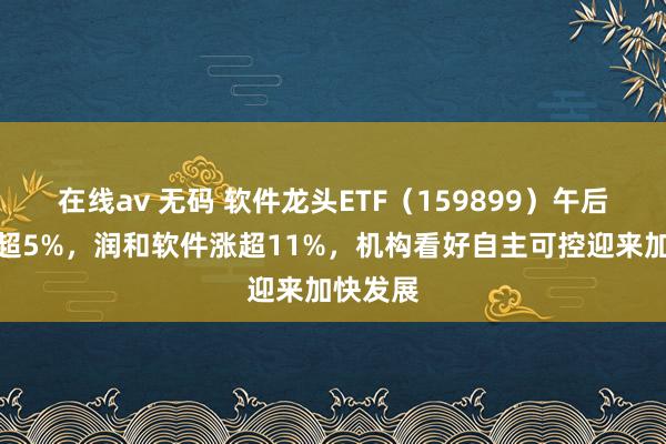 在线av 无码 软件龙头ETF（159899）午后走高涨超5%，润和软件涨超11%，机构看好自主可控迎来加快发展