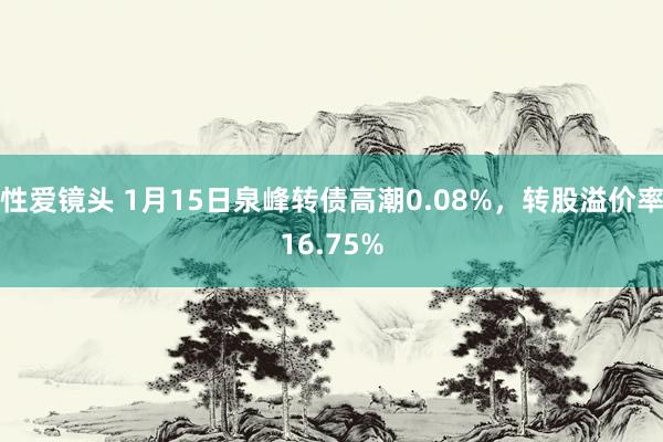 性爱镜头 1月15日泉峰转债高潮0.08%，转股溢价率16.75%