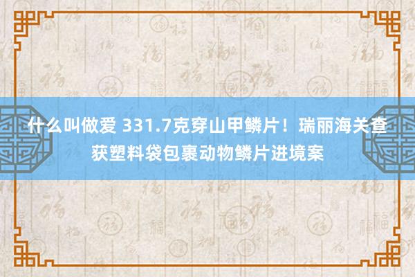 什么叫做爱 331.7克穿山甲鳞片！瑞丽海关查获塑料袋包裹动物鳞片进境案