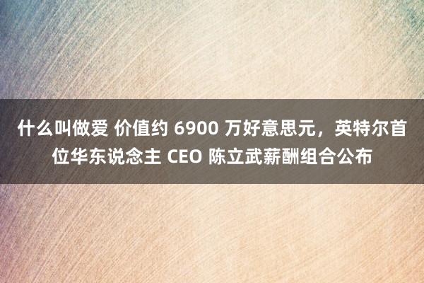 什么叫做爱 价值约 6900 万好意思元，英特尔首位华东说念主 CEO 陈立武薪酬组合公布