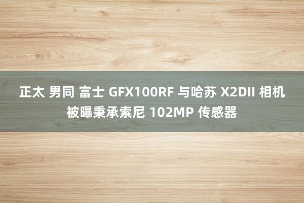 正太 男同 富士 GFX100RF 与哈苏 X2DII 相机被曝秉承索尼 102MP 传感器