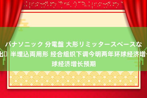 パナソニック 分電盤 大形リミッタースペースなし 露出・半埋込両用形 经合组织下调今明两年环球经济增长预期