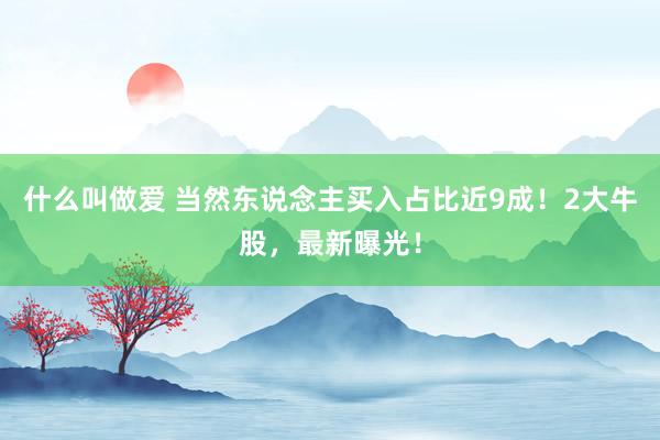 什么叫做爱 当然东说念主买入占比近9成！2大牛股，最新曝光！