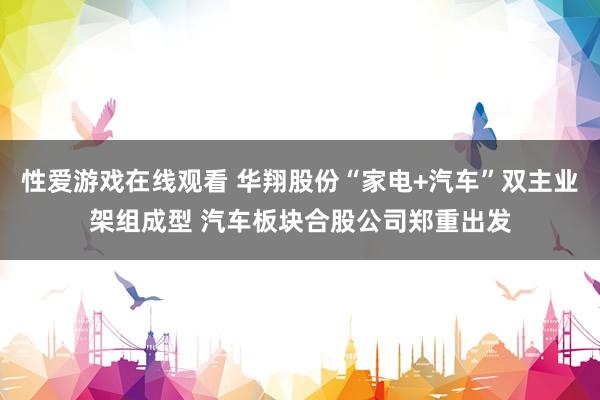 性爱游戏在线观看 华翔股份“家电+汽车”双主业架组成型 汽车板块合股公司郑重出发