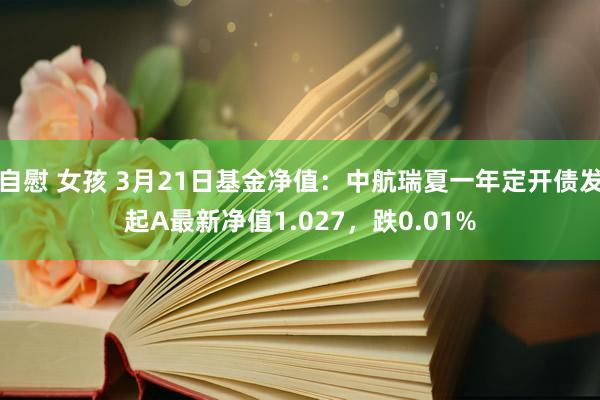 自慰 女孩 3月21日基金净值：中航瑞夏一年定开债发起A最新净值1.027，跌0.01%