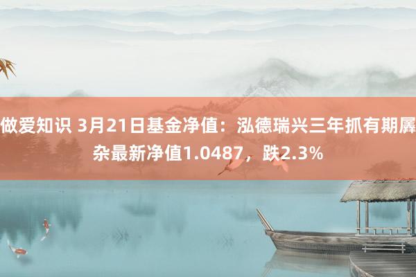 做爱知识 3月21日基金净值：泓德瑞兴三年抓有期羼杂最新净值1.0487，跌2.3%